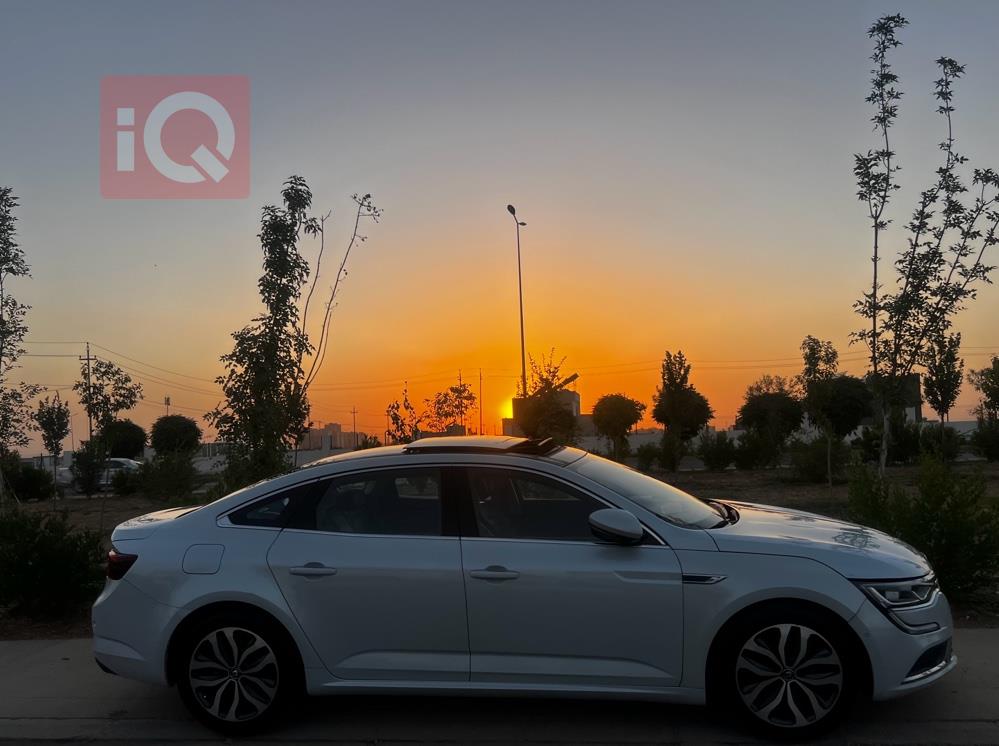 رينو تلسمان